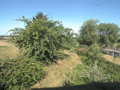 Picture 7